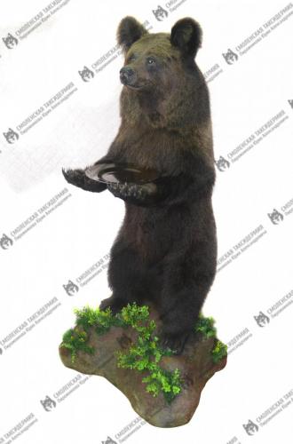 medved_18